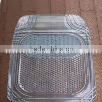 TPE Car carpet