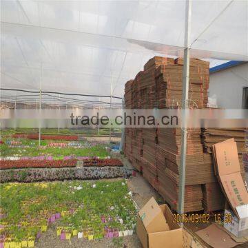 Plastic Greenhouse for Vegetable/Flower Raising photo-2