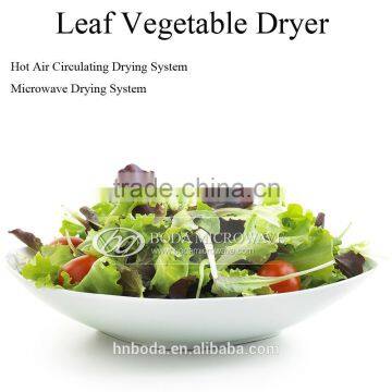 leafy vegetables dryer