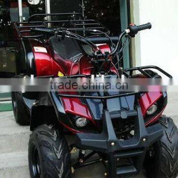 110cc Street Legal Atv (ATV110-04) photo-2