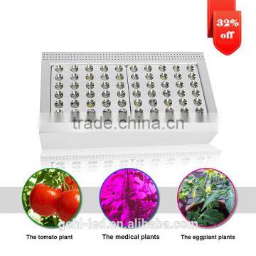 Low Price Aaa Quality High Power Seeds Vegetables From Shenzhen Factory