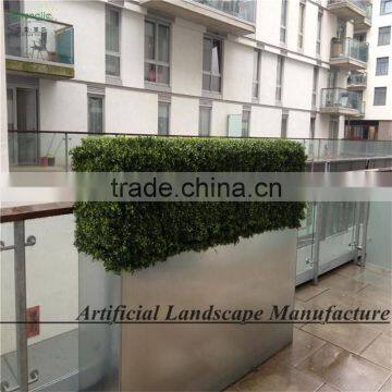 SAS016013 Plastic Cheap Artificial Boxwood Hedge photo-2