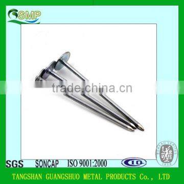 Electro Galvanized Umbrella Head roofing nails factory