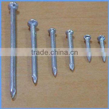 2 ''Concrete Nails/Cement Steel Nail from Guangzhou Supplier