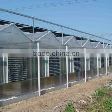 Polycarbonate PC Sheet Multi-span Greenhouse