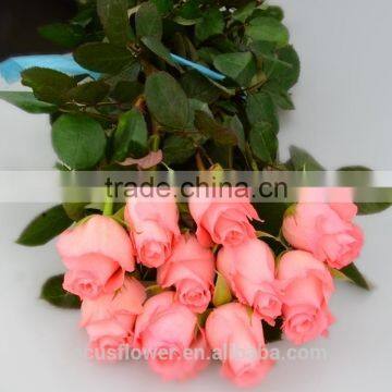 High class cut fresh Diana Rose flowers romantic from KUNMING