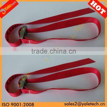 TUV/GS approved 25mm logistic cam buckle strap/cam buckle tie down straps