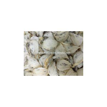 100% Natural Bird Nest From Viet Nam photo-3