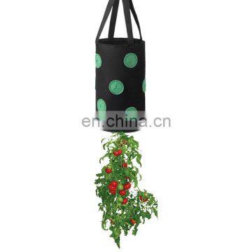 Felt Garden Grow Bags for Strawberry Growing photo-5