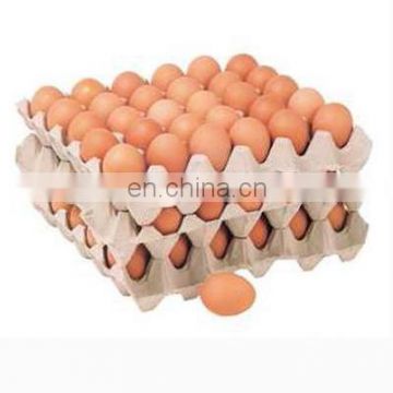 hot selling in africa  egg tray apple tray egg box machine automatic paper pulp egg tray production line