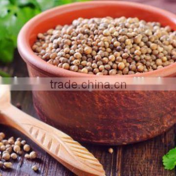 Coriander seed hike suppliers