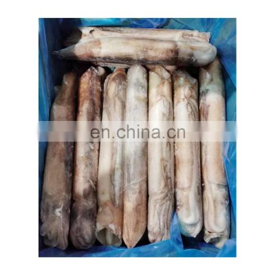 Feature IQF todarodes squid whole squid good price