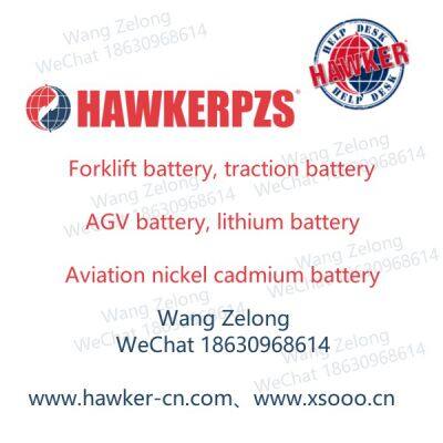 HAWKER BATTERY EV51.2-100-XS02 AGV 48V100Ah（EV48-100）MSDS