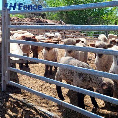 Panel de gestión de ovejas: diseñado específicamente para operaciones de parto seguro de corderos, clasificación y pastoreo rotativo