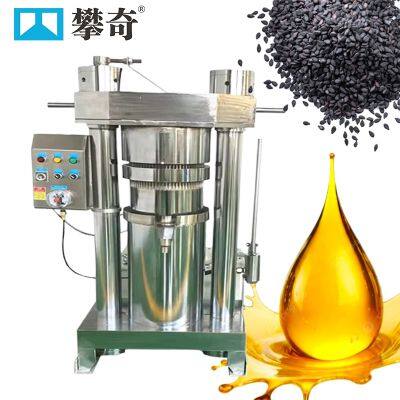 Professional Peanut Sesame Oil Making Machine Hydraulic Cold Oil Press Oil Refining Filter Pressing Machine