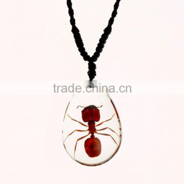 2016 lovely real ant pendant