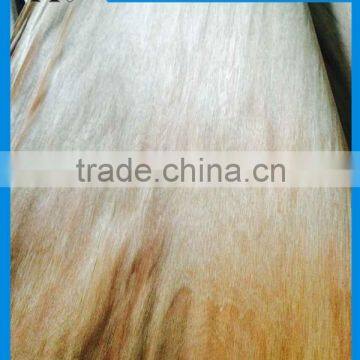 Pencil Cedar Wood Natural Veneer for Cedar Plywood 0.30mm With Best Price photo-3