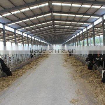 2016 New Pre-made Steel Structure Cowshed
