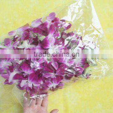 Elegant in smell classical wholesale factory outlet fresh live orchids