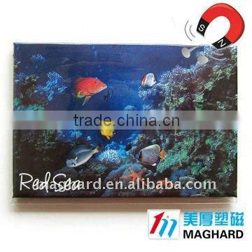 Tin Fridge Magnet Tourist souvenirs Red sea