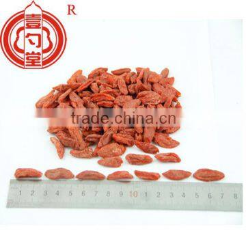 Goji berry in dried fruit 280/380 pcs/50gam bulk sales