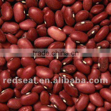 Dark red kidney beans for sale