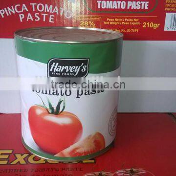 3000gram Canned Tomato Paste photo-5