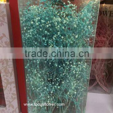 Import Natural Flowers Bulk Dried Flowers Pretty Gypsophila From Yunnan China
