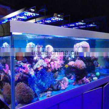 Lumini programmable timer marine reef led aquarium lights