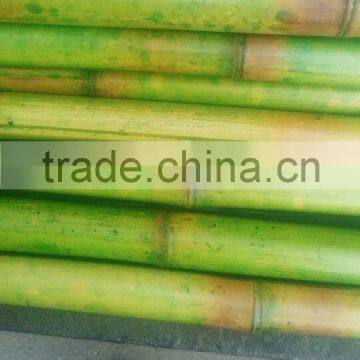 Decorative Bamboo Pole photo-2