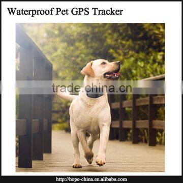 Wholesale IP66 Waterproof Mini Dog Pet Animal GPS Tracker Pet GPS Tracker Quality Choice