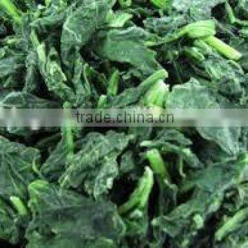 IQF Frozen Spinach Leaf BQF With High Quality photo-2