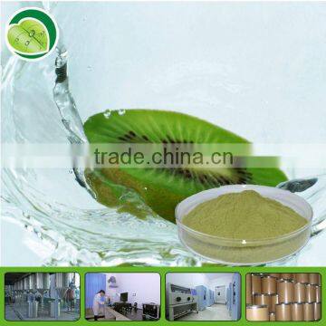 100% natural kiwi vacuum powder