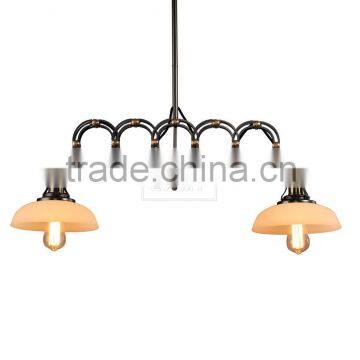 Machine Manufacturer Modernist Ceiling Light Double Light Adjustable Arm Hanging Light photo-6