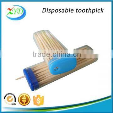 Harbin Toothpick Supplier Bamboo / Wooden Toothpicks Packed in Colorful Plastic Toothpick Bottle photo-5