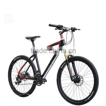 Popular Design Complete Carbon Fiber Mountain Bicycle Made in China for Sale/Carbon Fibre Mountain Bike Frame photo-3