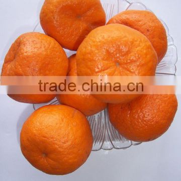 Hot sale high quality fresh baby fresh mandarin orange