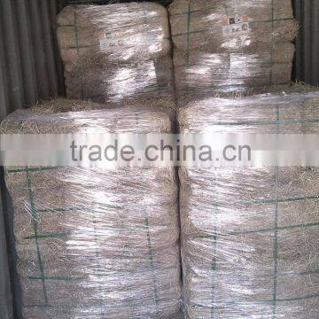 Rhode Grass Hay photo-4