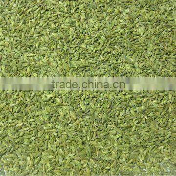 Fennel Seeds photo-1