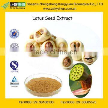 GMP Factory Supply Natural Lotus Seed Extract Powder