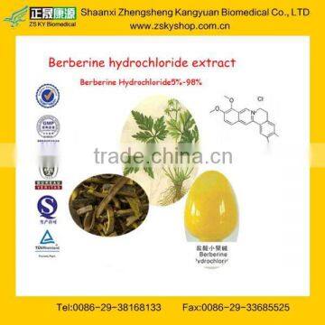 100% Natural Chinese Goldthread Rhizome Extract with 98% Berberine Hydrochloride