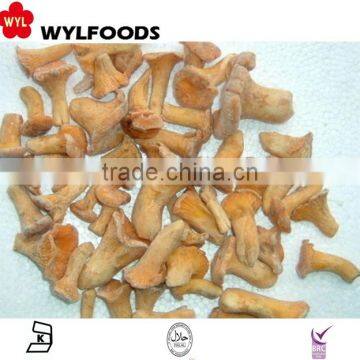 good quality new crop wild frozen IQF Chanterelles