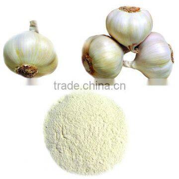 garlic powder