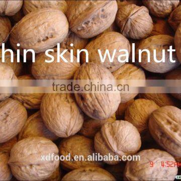 Xunda thin skin walnuts in shell