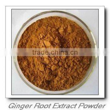 Organic Ginger Root Extract Powder-AG