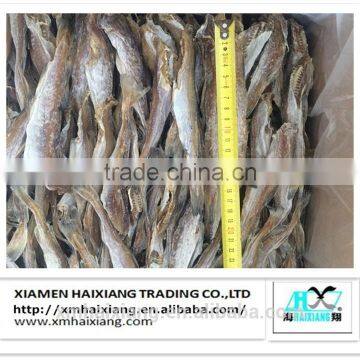 Dried salted cod fish price