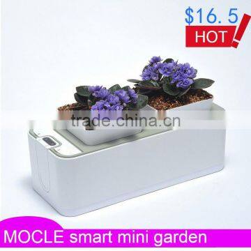 Elephant Flower Vase