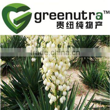 Yucca extract