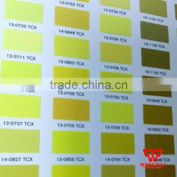 2016 International PANTONE TCX FHIC200 photo-2