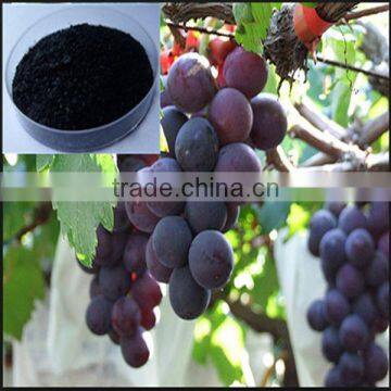 Kinds of Agriculture Fertilizer Potassium Humate 70%